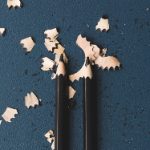 大西洋城的自然风光:海滩与公园的完美结合与游玩攻略 06i2mw