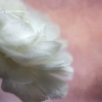 天博娱乐:探索线上娱乐平台的无限魅力与乐趣 27n32e