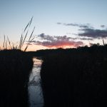 大西洋城的历史与文化:从海滨小镇到繁华城市的变迁 4clia1i