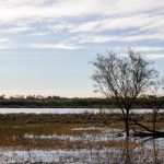 大家乐平台:探索全新在线娱乐体验的最佳选择 b794tql5b