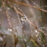 大发app唯一官网入口的注册流程与注意事项详解 ewsz1vk75