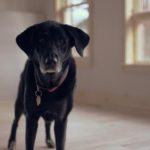 天地人娱乐:连接自然、社会与个体的全新体验 j6mm5ei