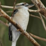 大西洋赌场的经典游戏解析:扑克、轮盘与老虎机的魅力 qxe89rmhf