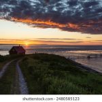 大润发平台的用户体验:便捷购物的全新选择 r2a81