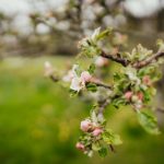 大家赢娱乐:聚集玩家的乐趣与激情的社交平台 s5p7vjxb3