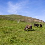 天天博娱乐:畅享无限乐趣与刺激的娱乐平台 tyzi7qkyj