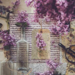 3d251期最新开奖结果查询与详细数据分析 02myk1p