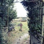 3d2025211期开奖号码公布及结果查询 1xf50re8xb