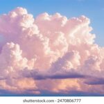 18075期开奖结果震撼揭晓,大奖花落谁家引关注 1xvwv9a