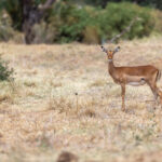 18060期开奖号码最新公布与结果查询 233y4t