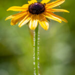 18068期体育彩票开奖结果公布,大奖花落谁家? 36qoe0bgbj