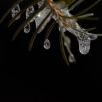 18054 期开奖结果震撼揭晓,大奖花落谁家? 3y7p84j7f