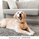 18023期福彩开奖结果最新公布,快来看看你中奖了吗? 65i57cf