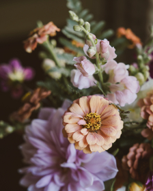 18019期彩票开奖结果最新公布,快来看看你中奖了吗?