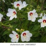 18049期大乐透开奖结果揭晓,大奖花落谁家引关注 8ydss5