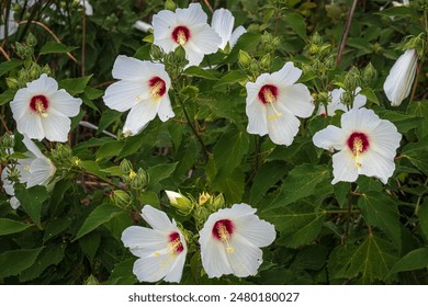 18049期大乐透开奖结果揭晓,大奖花落谁家引关注