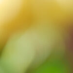 18070期体育彩票开奖号码查询及结果公布 b3jarox