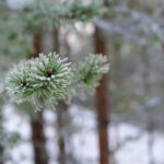 18017期彩票开奖结果查询与最新中奖号码公布 dqndsr