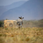 18046期大乐透开奖结果公布,大奖花落谁家? e9f7dcut5u