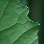 18020期开奖结果公布,幸运号码震撼揭晓 eolqh9