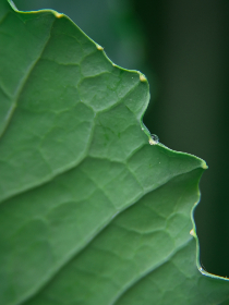 18020期开奖结果公布,幸运号码震撼揭晓