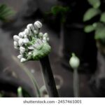 18057期开奖结果揭晓:幸运号码震撼公布 g7d6u0qg8