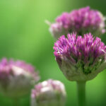 18056期体育彩票开奖公告及中奖号码正式发布 k99i7hjo