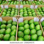 3d2025165期开奖结果最新公布,中奖号码全面揭晓 ro08o2pjsb