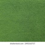 180757期最新开奖结果查询与中奖号码公布 yfvxh46